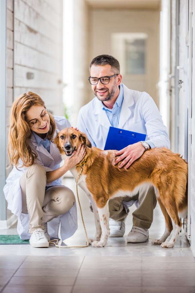 Espai reservat per a la fotografia de com funciona FitFido Clinic, 4:3.